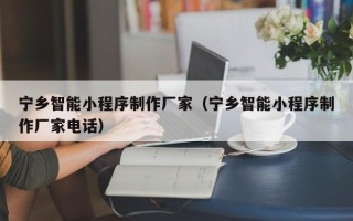 河南宁乡智能小程序制作厂家（宁乡智能小程序制作厂家电话）